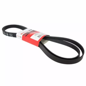 1990 - 1997 Ford Serpentine Belt F67Z-8620-CA