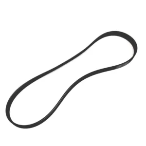 1999 - 2006 Volkswagen Serpentine Belt 06A-145-933-D