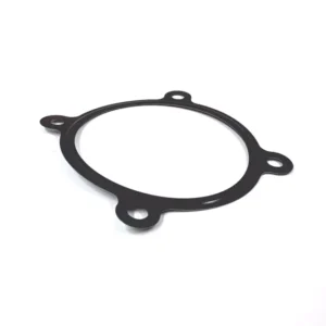 2002 - 2004 Volkswagen Fuel Injection Throttle Body Mounting Gasket 07D-133-073-A
