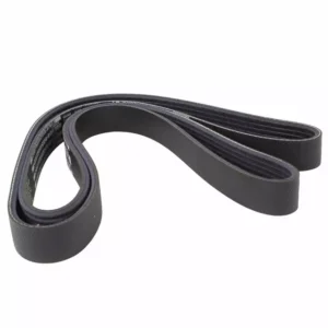 2015 - 2025 Ford Water Pump Belt bl3z8620g
