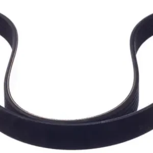2019 - 2026 Nissan Serpentine Belt 11720-5NA0B