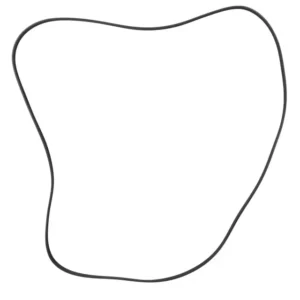 2020 - 2024 Ford V Belt LC3Z-8620-J