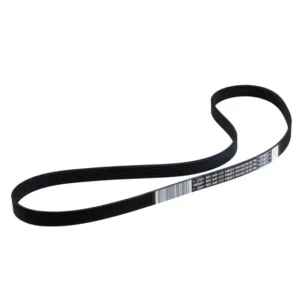 2021 - 2025 Ford Motorcraft Alternator Belt JK6-544-A