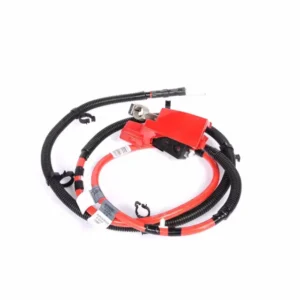 GM Cable Assembly-auxiliary Bat Pos 22801336