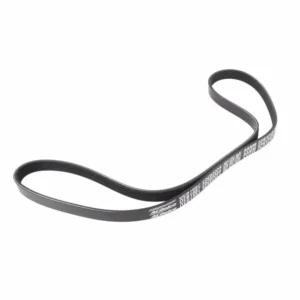 GM Serpentine Belt 25203354
