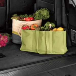 Toyota Floor Mat PT206-LX083-10